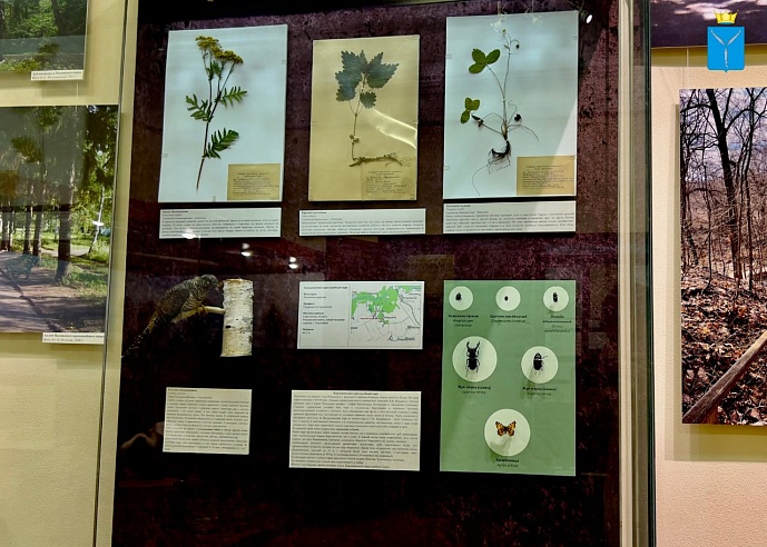 Саратовский музей зовет жителей и гостей города на настолки