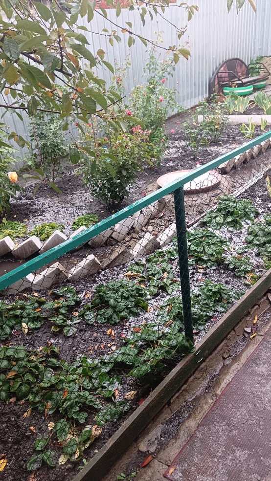 В Саратове громыхал гром и выпал град