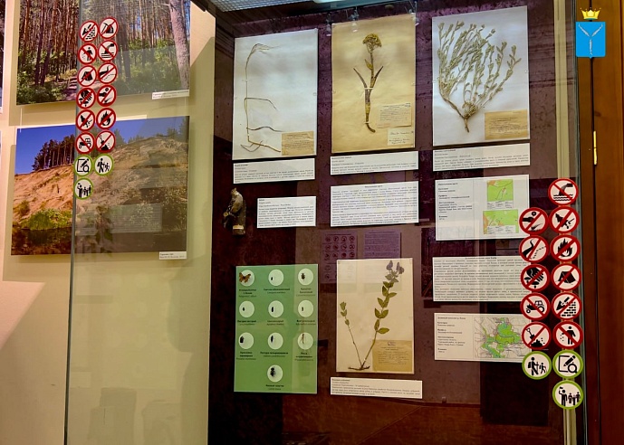 Саратовский музей зовет жителей и гостей города на настолки