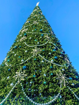 На Театральной площади Саратова установили главную новогоднюю елку региона