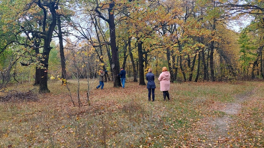 На Кумысной поляне инженеры лесничества снимали мерку с деревьев и нашли грибы