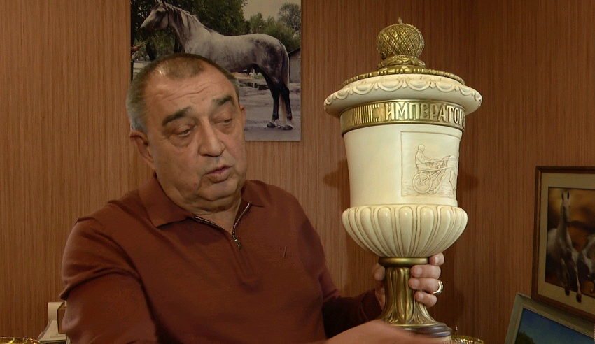 Элитные лошади заработали саратовскому фермеру сотни кубков и медалей 