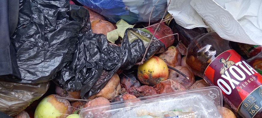 Волжский район Саратова погряз в мусоре