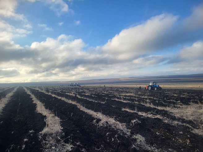 Компенсационные леса из Бурятии "переехали" в Саратовскую область
