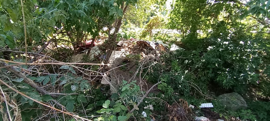 Саратовцы жалуются на крыс