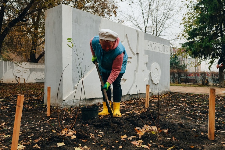В сквере "Территория детства" высадили новые кустарники
