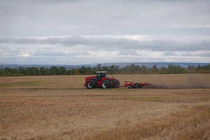 Саратовская область лидирует по сбору зерна среди регионов ПФО