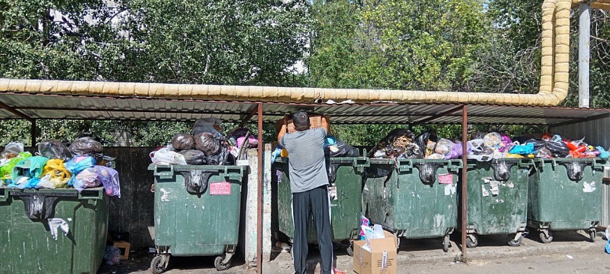 Саратовцы жалуются на крыс