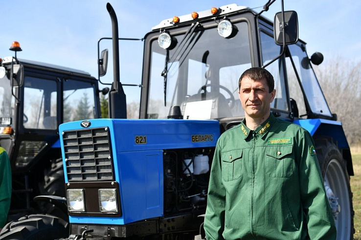 За 20 лет в Саратовской области площадь лесов увеличилась в 4 раза