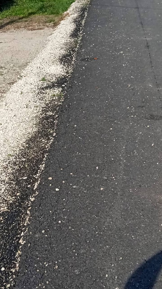 Панков призвал министерство дорожного хозяйства строго контролировать качество ремонта дорог в Пугачёвском районе