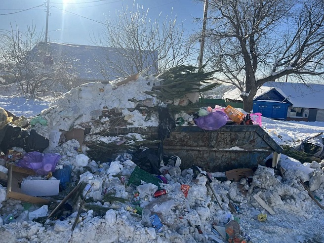 Чиновники раскритиковали "Ситиматик" за мусорные завалы в Саратове