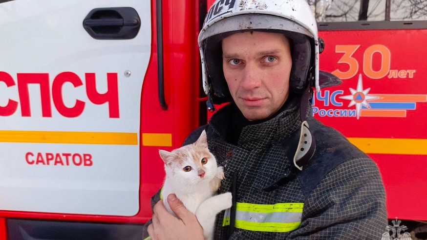 Участник "Человека с большой буквы" спас кота на пожаре