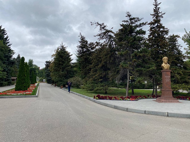 Саратовцы обеспокоены гибелью рыбы в прудах Горпарка