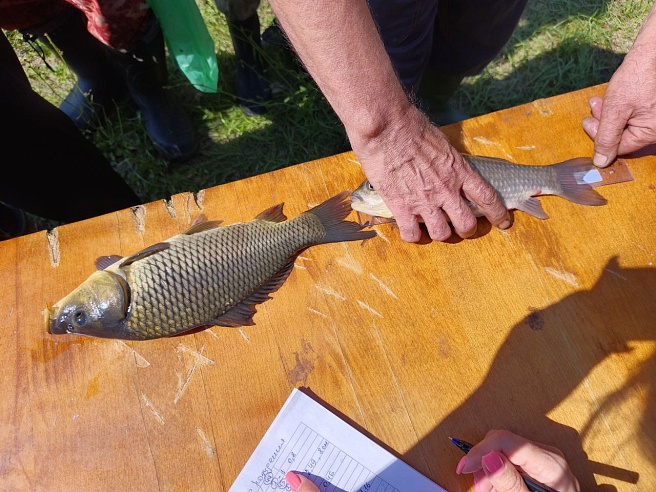 В Петровском районе рыбаки соревновались в улове