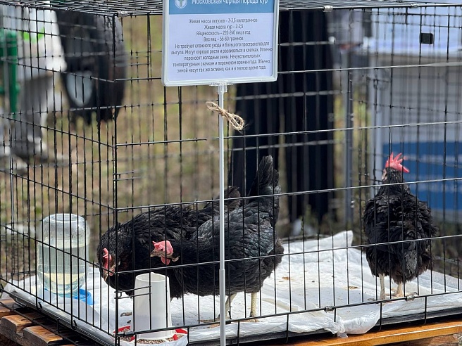 На "Дне поля" в Саратове прошла выставка сельскохозяйственной техники