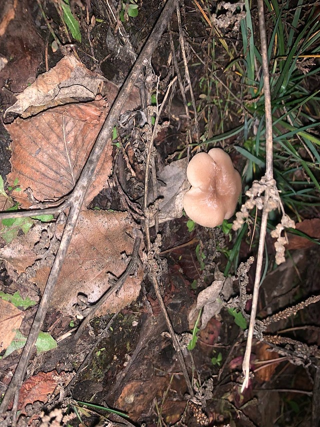 Саратовцы делятся фотографиями "зимнего" урожая