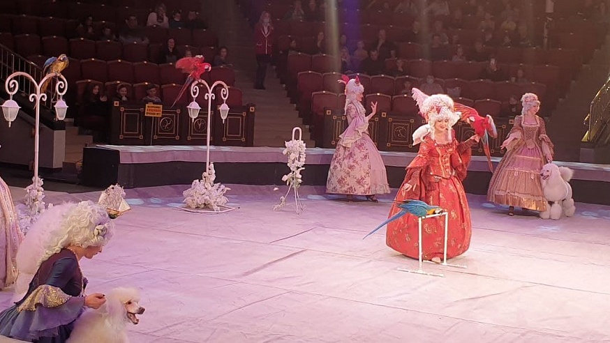 Дети из ДНР и ЛНР посетили саратовский цирк 