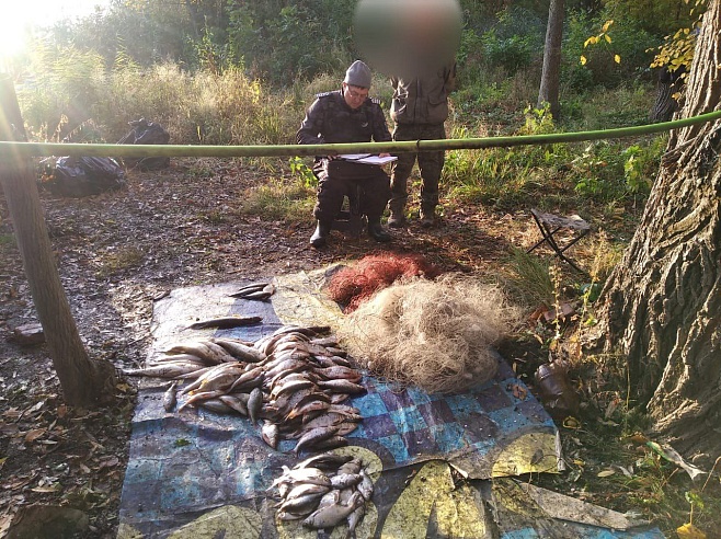 С начала месяца в Саратовской области изъято 120 килограммов незаконно выловленной рыбы