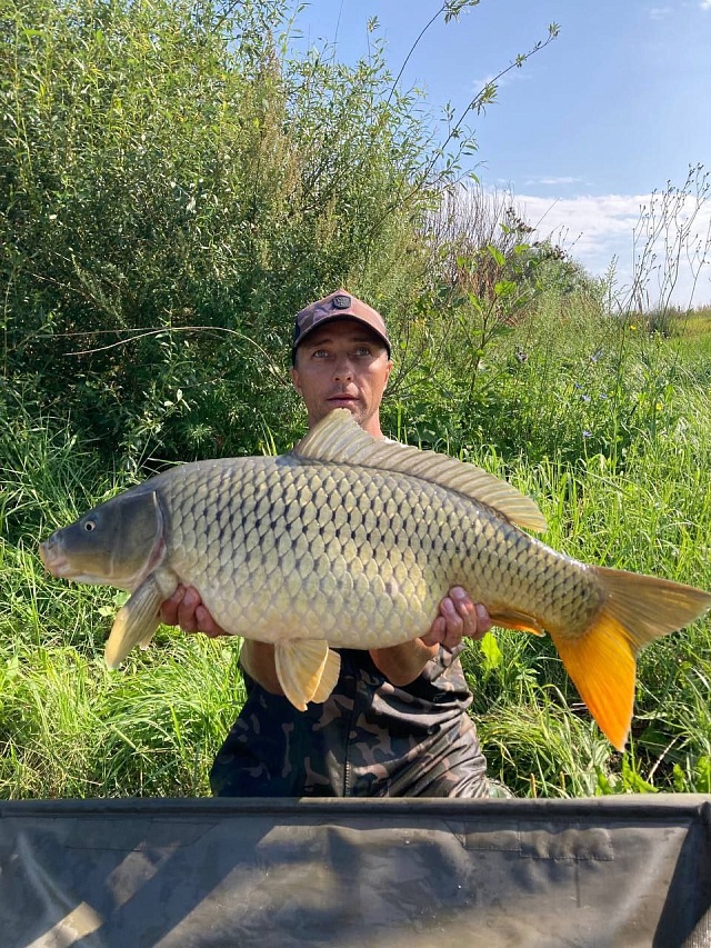 Аткарчане поймали на турнире по спортивной рыбаке 13-килограммового карпа