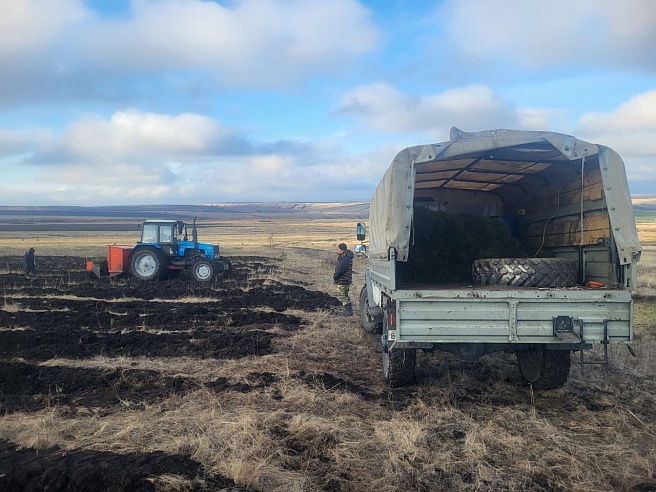 Компенсационные леса из Бурятии "переехали" в Саратовскую область