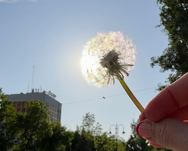 Саратовские синоптики обещают умеренно теплые выходные