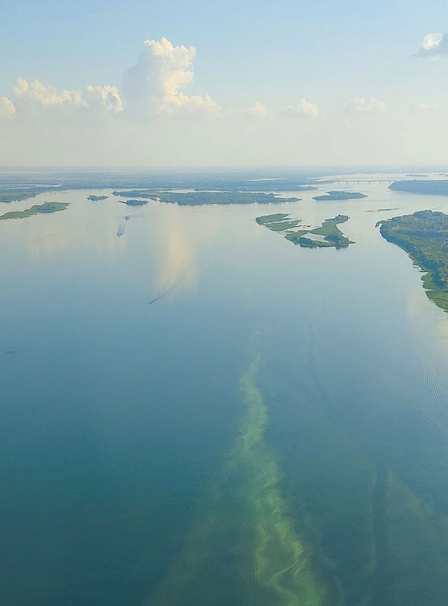 Метеоролог Червяков посоветовал саратовцам не купаться в цветущей воде