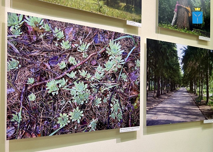 Саратовский музей зовет жителей и гостей города на настолки