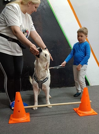 Четвероногие терапевты учат маленьких саратовцев не бояться собак