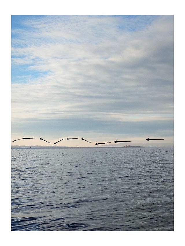 Метеоролог Червяков объяснил, почему дым над Волгой изгибался как волна