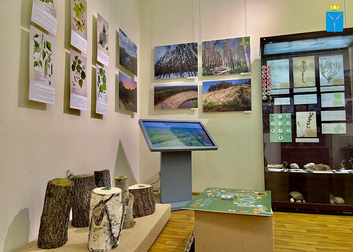 Саратовский музей зовет жителей и гостей города на настолки