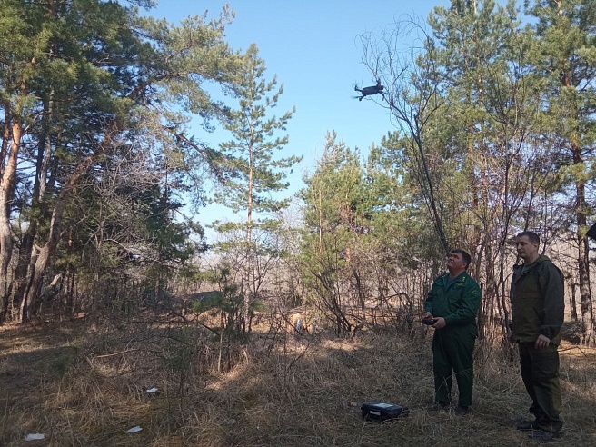 Беспилотники следят за пожарной безопасностью в лесах Саратовской области