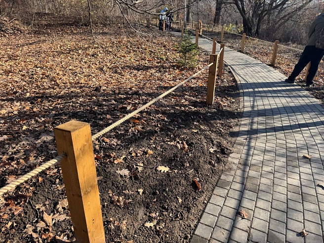 Почти три тысячи саратовцев посетили обновленный Ботсад СГУ