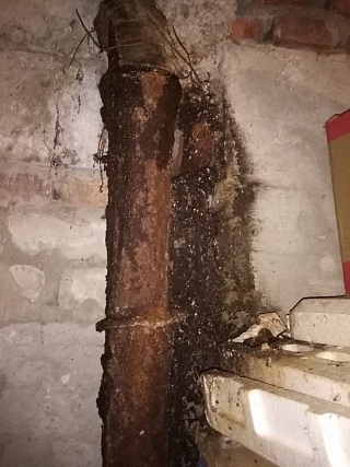 Жильцы дома в Саратове жалуются на прогнившую канализацию и треснувший фундамент