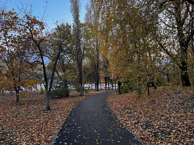 Саратовские синоптики обещают дождливую погоду в выходные