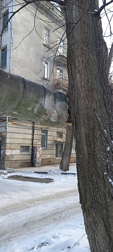 Во дворе дома в Ленинском районе дерево врастает в теплотрассу: улицу может залить кипятком