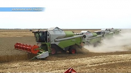В Саратовской области комбайнеры собрали рекордный урожай
