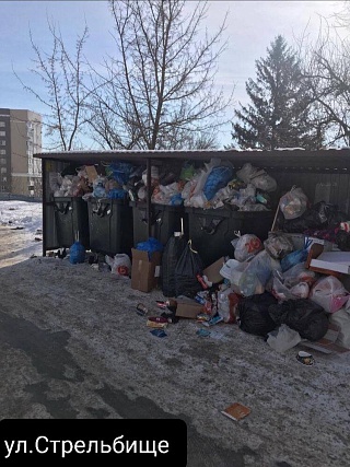 Жители Саратова жалуются на переполненные мусорные баки