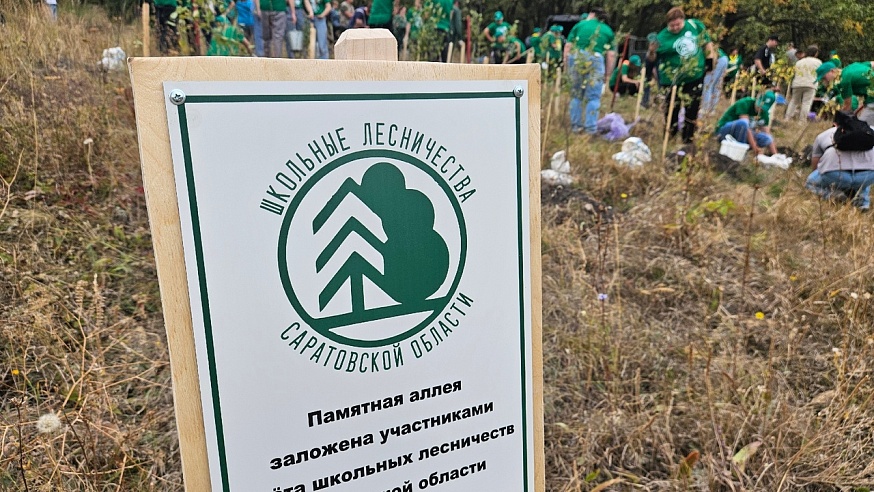 На Кумысной поляне стало больше берез и рябин