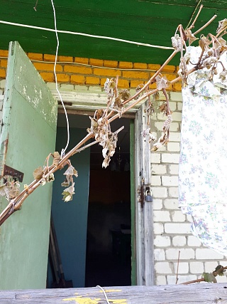 Заморозки в Саратовской области уничтожили урожай