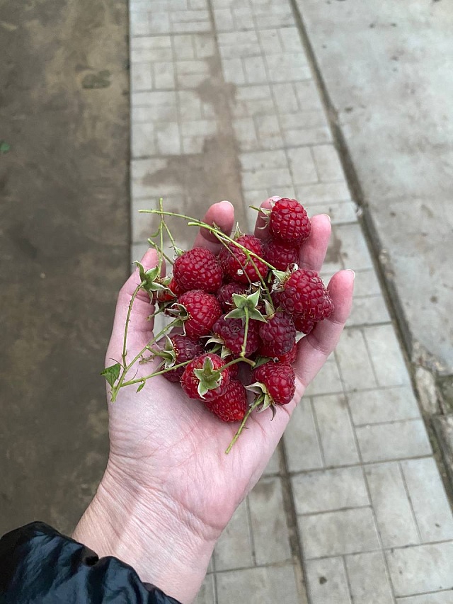 Саратовцы делятся фотографиями "зимнего" урожая