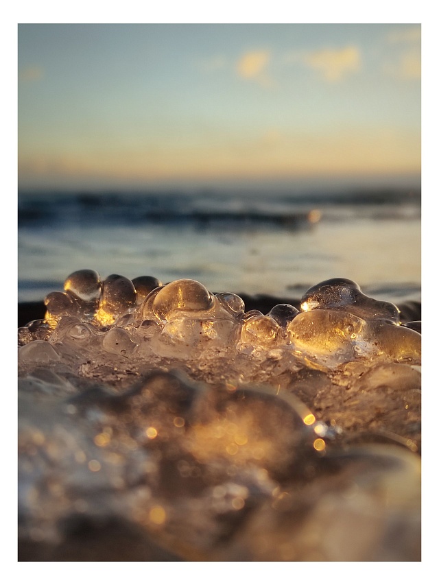 Берег Волги в Саратове усыпали "грозди винограда" 