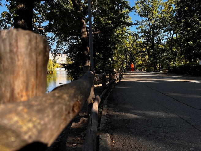 В Горпарке Саратова появятся ротонда и фонтан