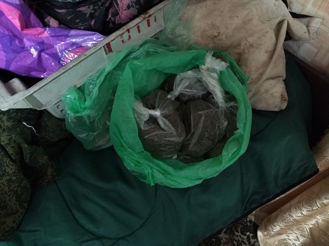 В Саратове мужчина "запас" на зиму 1,5 килограмма каннабиса