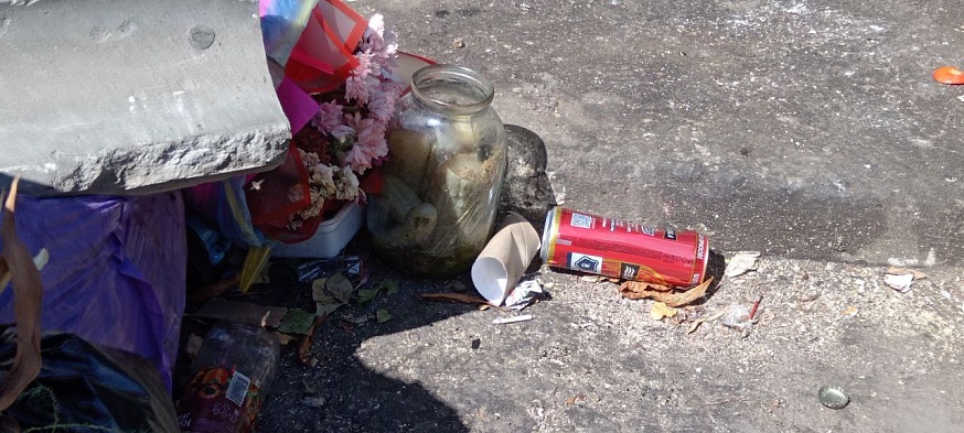 Саратовцы жалуются на крыс