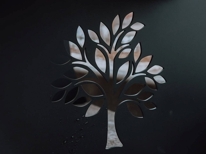 В Городском парке Саратова появился свет