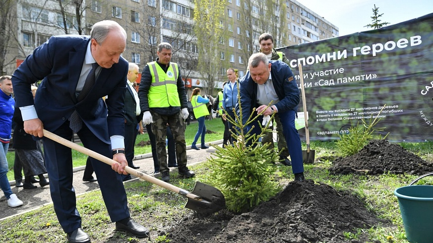 Саратовский губернатор посадил ель в сквере имени Чемодурова
