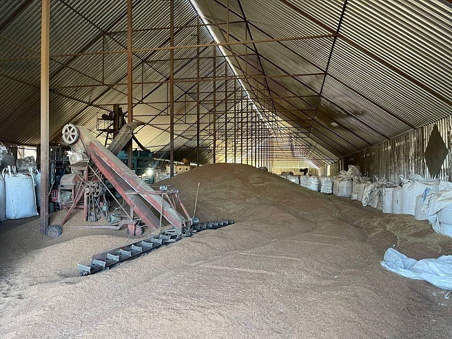 Саратовский лен экспортируют в Бельгию и Германию