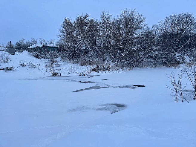 В Саратовской области готовятся к крещению: в Петровске к купели запустят бесплатные автобусы