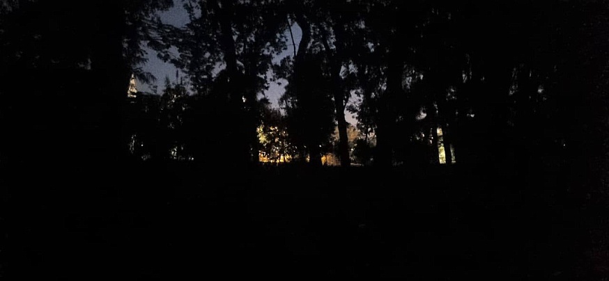 Бывший арендатор зарегистрировал в собственность всю систему освещения Горпарка Саратова