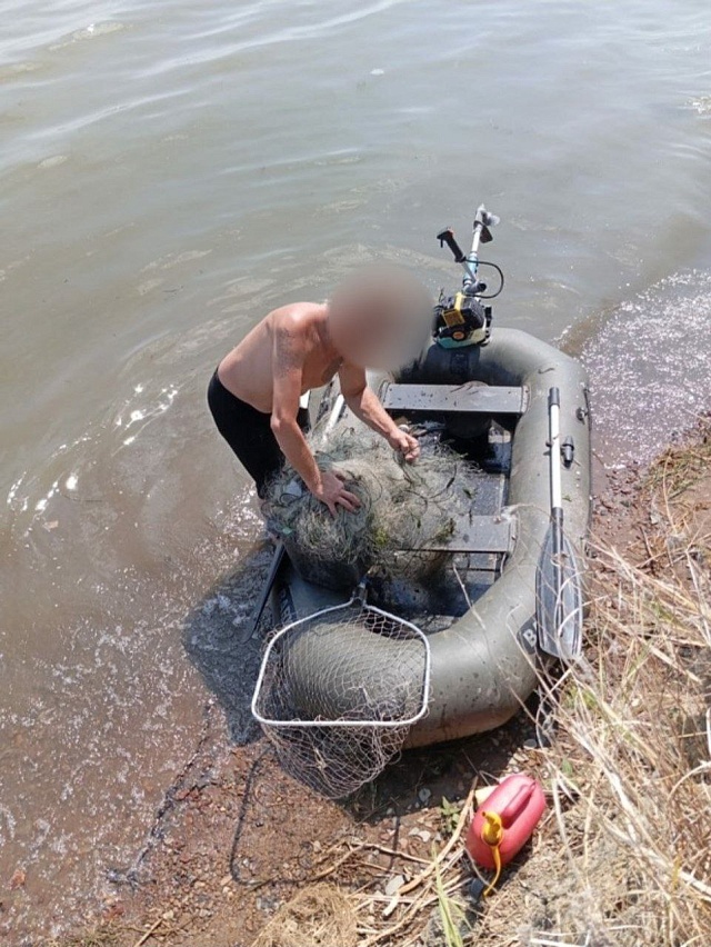 У саратовских браконьеров изъяли 86 килограммов рыбы и восемь сетей